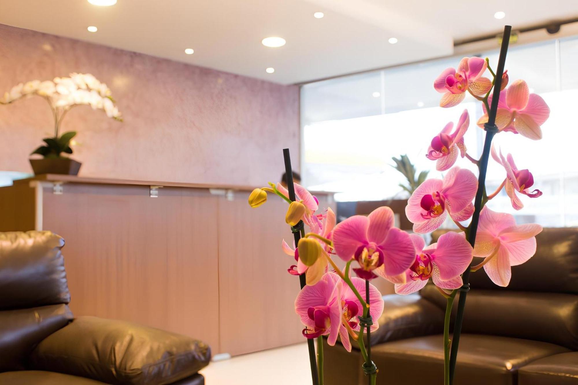 Hotel Toyo Inn ボイトゥヴァ エクステリア 写真